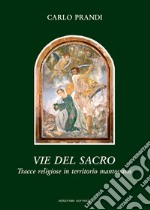 Vie del sacro. Tracce religiose in territorio mantovano libro