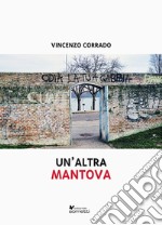 Un'altra Mantova libro