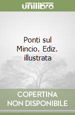 Ponti sul Mincio. Ediz. illustrata