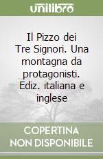 Il Pizzo dei Tre Signori. Una montagna da protagonisti. Ediz. italiana e inglese libro