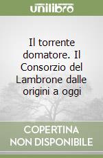 Il torrente domatore. Il Consorzio del Lambrone dalle origini a oggi