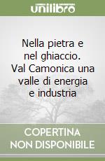 Nella pietra e nel ghiaccio. Val Camonica una valle di energia e industria libro