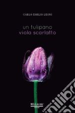 Un tulipano viola scarlatto