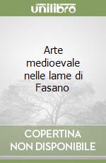 Arte medioevale nelle lame di Fasano libro