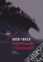 Aspettando i naufraghi libro