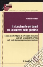 Il risarcimento dei danni per la lentezza della giustizia. Il ricorso alla Corte d'Appello, alla Corte Suprema di Cassazione ed alla Corte Europea dei diritti....