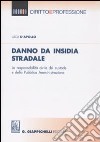 Danno da insidia stradale. La responsabilità civile del custode e della Pubblica Amministrazione libro