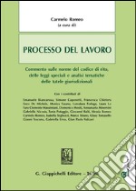 Processo del lavoro. Commento sulle norme del codice di rito, delle leggi speciali e analisi tematiche delle tutele giurisdizionali. Con aggiornamento online libro