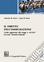 Il diritto dell'immigrazione. Guida aggiornata alla Legge n. 46/2017 decreto "Minniti-Orlando"