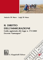 Il diritto dell'immigrazione