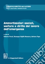 Ammortizzatori sociali, welfare e diritto del lavoro dell'emergenza libro