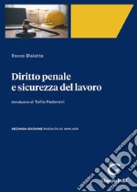 Diritto penale e sicurezza del lavoro libro