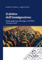 Il diritto dell'immigrazione