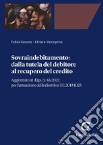 Sovraindebitamento. Dalla tutela del debitore al recupero del credito libro