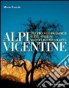 Alpi vicentine. Tra Piccole Dolomiti, Sette Comuni e Massiccio del Grappa. Ediz. illustrata libro