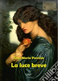 La luce breve libro