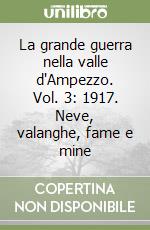 La grande guerra nella valle d'Ampezzo. Vol. 3: 1917. Neve, valanghe, fame e mine