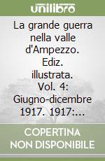 La grande guerra nella valle d'Ampezzo. Ediz. illustrata. Vol. 4: Giugno-dicembre 1917. 1917: l'anno di Caporetto libro