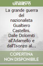 La grande guerra del nazionalista Gualtiero Castellini. Dalle Dolomiti all'Adamello e dall'Isonzo al Grappa