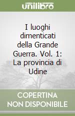 I luoghi dimenticati della Grande Guerra. Vol. 1: La provincia di Udine