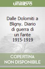 Dalle Dolomiti a Bligny. Diario di guerra di un fante 1915-1919