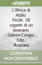 L'Africa di Attilio Pecile. Gli oggetti di un itinerario Gabon-Congo. Ediz. illustrata