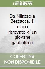 Da Milazzo a Bezzacca. Il diario ritrovato di un giovane garibaldino libro