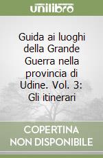 Guida ai luoghi della Grande Guerra nella provincia di Udine. Vol. 3: Gli itinerari libro