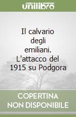 Il calvario degli emiliani. L'attacco del 1915 su Podgora