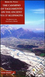 The cammino of Tagliamento on the ancient via d'Allemagna to Jerusalem, Santiago, Rome libro