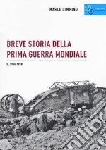 Breve storia della prima guerra mondiale. Vol. 2: 1916-1918 libro