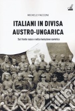 Italiani in divisa austro-ungarica. Sul fronte russo e nella rivoluzione sovietica