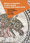 Abitare ad Aquileia in età romana: l'insula delle Bestie Ferite libro
