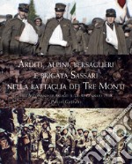 Arditi, alpini, bersaglieri e Brigata Sassari nella Battaglia dei Tre monti sull'Altopiano di Asiago il 28-31 gennaio 1918 libro