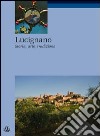 Lucignano. Storia, arte, tradizioni libro di Spadini Valeriano Spadini Chiara