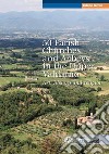 50 parish, churches and abbeys in the upper Valdarno. Art, history and religion libro di Bigi Lorenzo