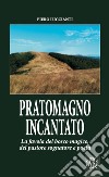 Pratomagno incantato. La favola del bosco magico, del pastore sognatore e poeta libro di Luccianti Piero