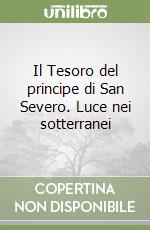 Il Tesoro del principe di San Severo. Luce nei sotterranei libro