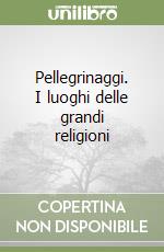 Pellegrinaggi. I luoghi delle grandi religioni libro