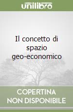 Il concetto di spazio geo-economico libro