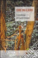 Come un albero. Piccola antologia dallo sguardo planetario libro