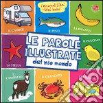 Le parole illustrate del mio mondo. I grandi libri del bebé. Ediz. illustrata libro