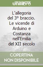 L'allegoria del 3° braccio. Le vicende di Arduino e Costanza nell'Emilia del XII secolo libro