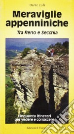 Meraviglie appenniniche. Tra Reno e Secchia. Ediz. illustrata libro