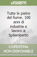 Tutte le pietre del fiume. 100 anni di industria e lavoro a Spilamberto libro