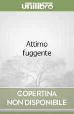 Attimo fuggente