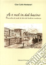 A-t mol in dal bacino. Raccolta di modi di dire del dialetto modenese