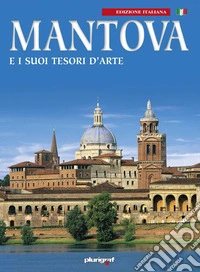 Mantova e i suoi tesori d'arte libro