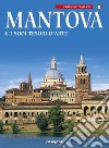 Mantova e i suoi tesori d'arte libro