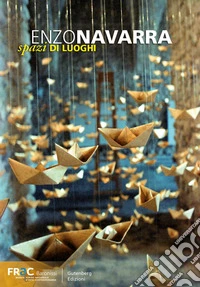 Enzo Navarra. Spazi di luoghi libro